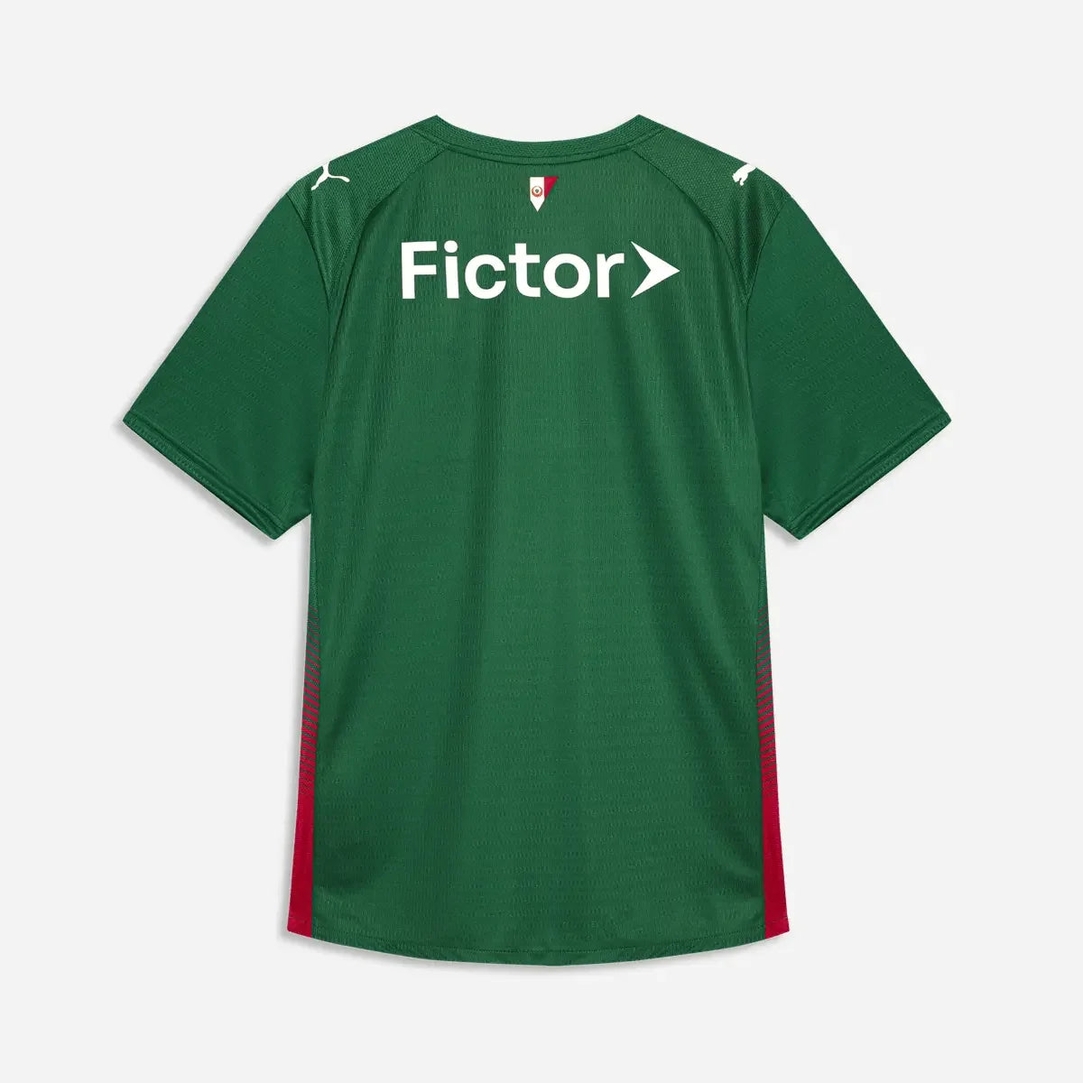 Jersey Puma Palmeiras 2026/27 Home Fan Version
