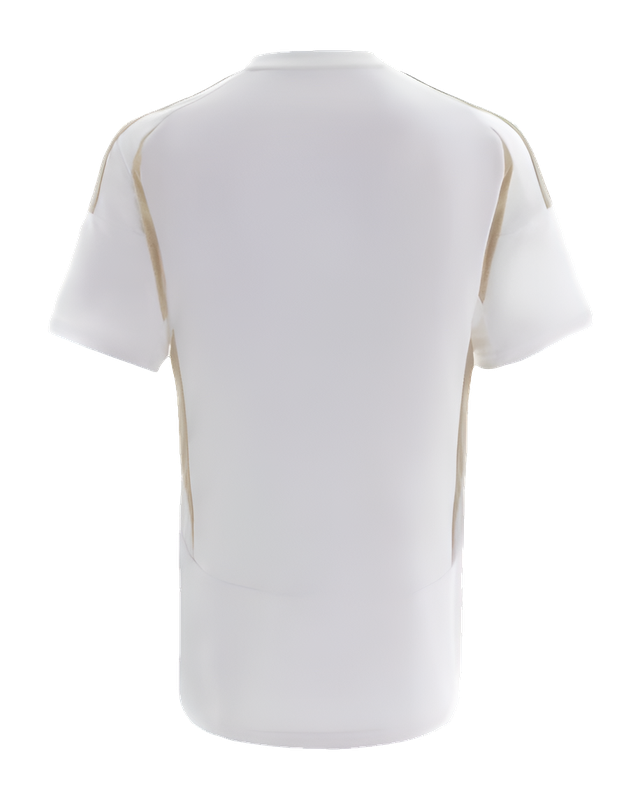 Al Nassr 24/25 III Third Jersey - Fan Version