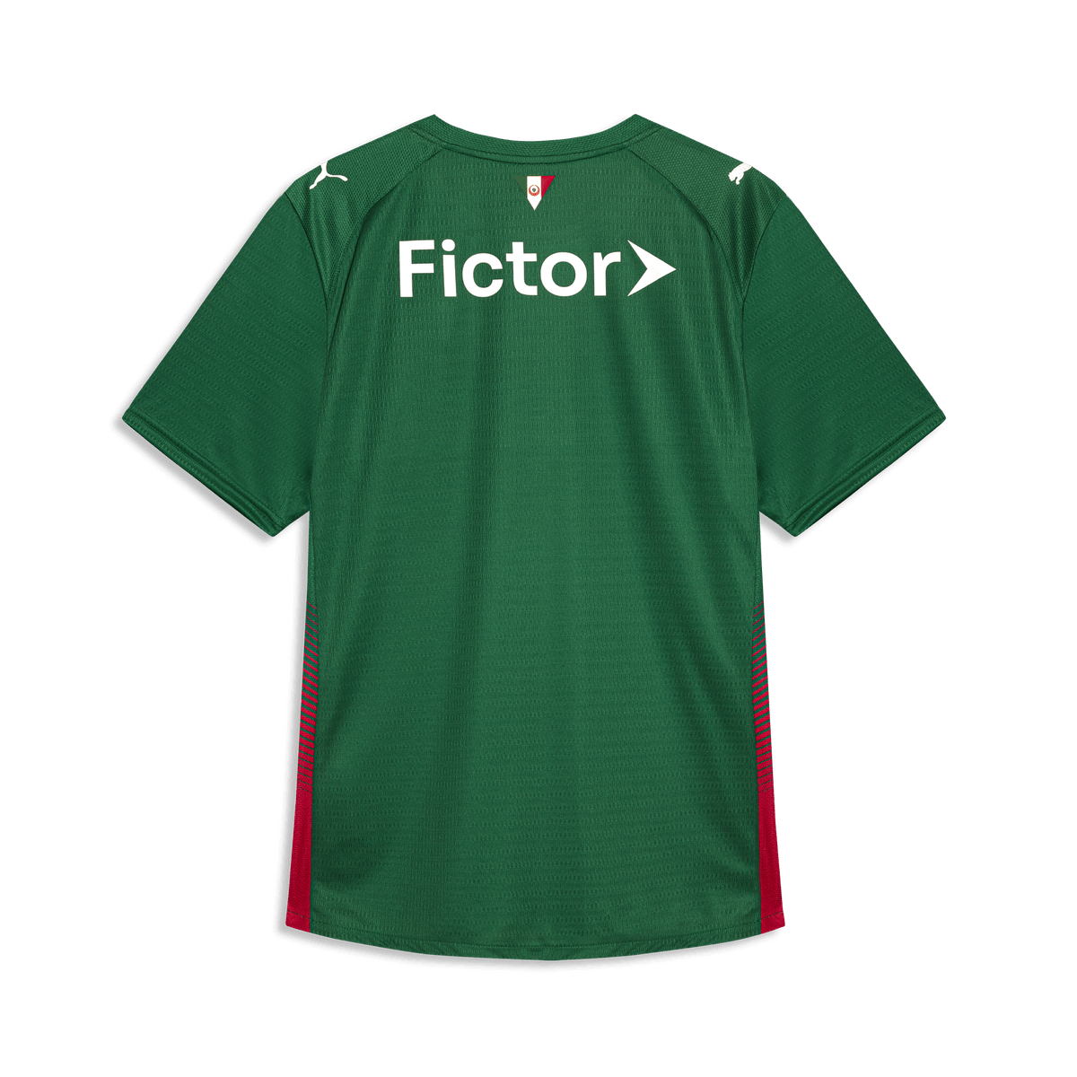 Jersey Puma Palmeiras 2026/27 Home Player Version
