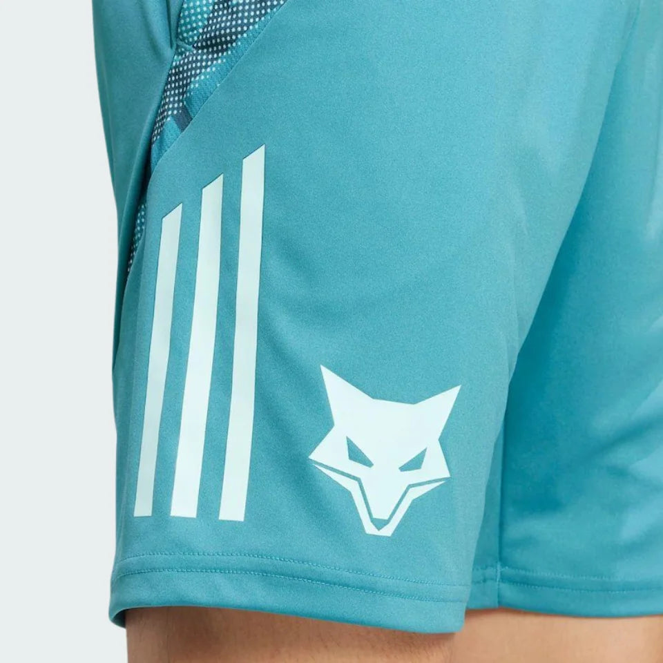 Training Tracksuit adidas Cruzeiro 2025/26