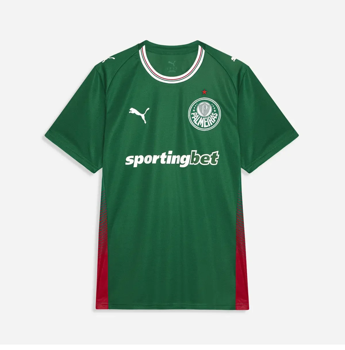 Jersey Puma Palmeiras 2026/27 Home Fan Version