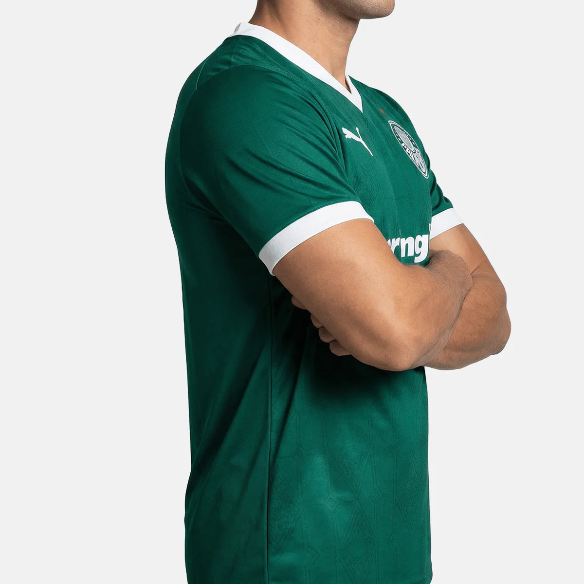 Jersey Puma Palmeiras 2025/26 Home Player Version