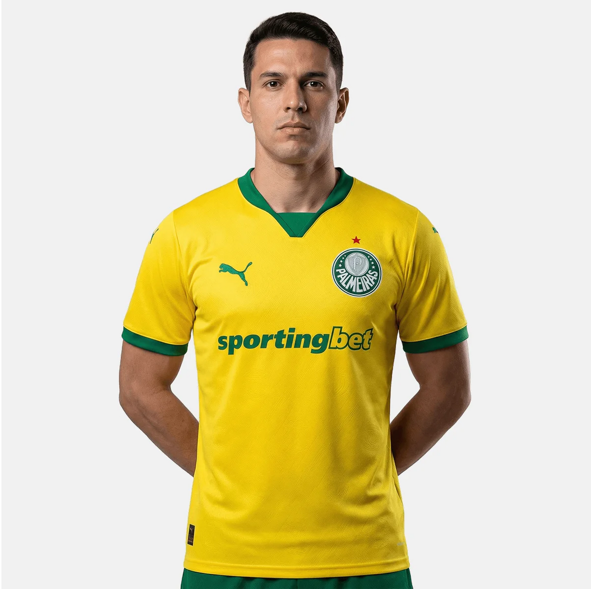 Jersey Puma Palmeiras 2025/26 Third Fan Version