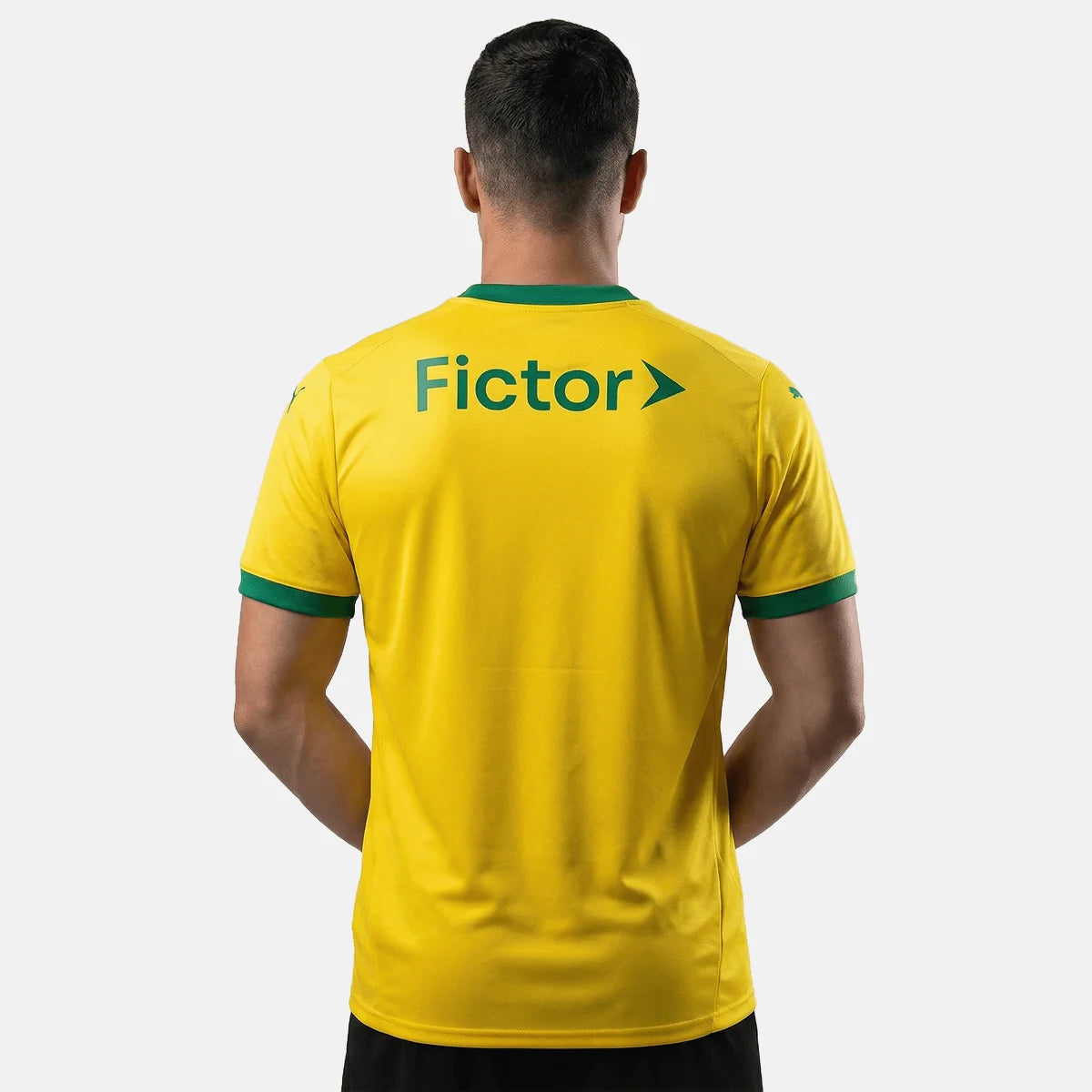 Jersey Puma Palmeiras 2025/26 Third Fan Version