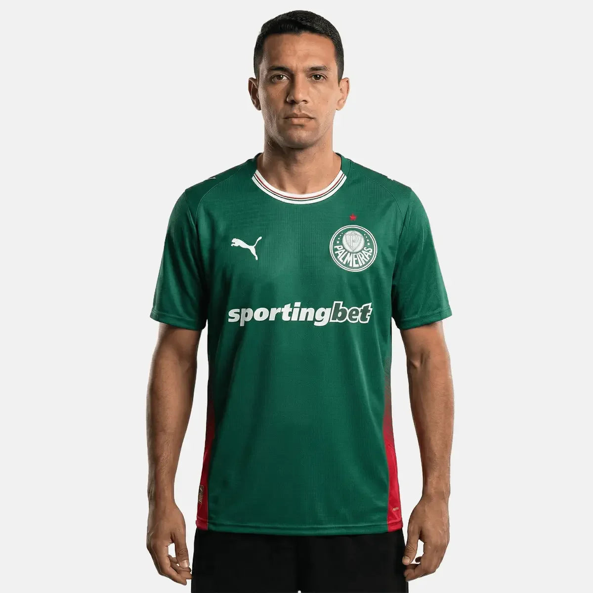 Jersey Puma Palmeiras 2026/27 Home Fan Version